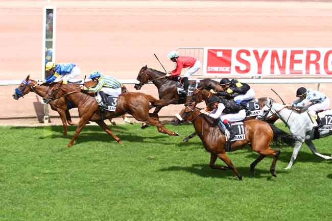Arrivée quinté pmu GRAND PRIX DE CHATEAUBRIANT - PRIX SYNERGIE à CHATEAUBRIANT