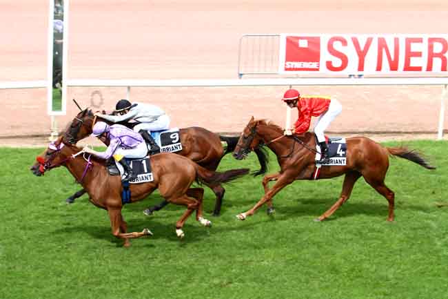 Arrivée quinté pmu PRIX DE LONGCHAMP à CHATEAUBRIANT