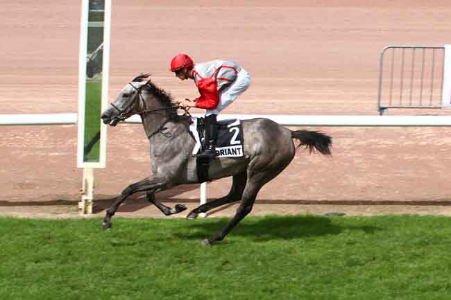 Arrivée quinté pmu PRIX DES ETOILES à CHATEAUBRIANT