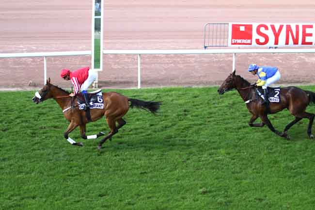 Arrivée quinté pmu PRIX GACKO à CHATEAUBRIANT