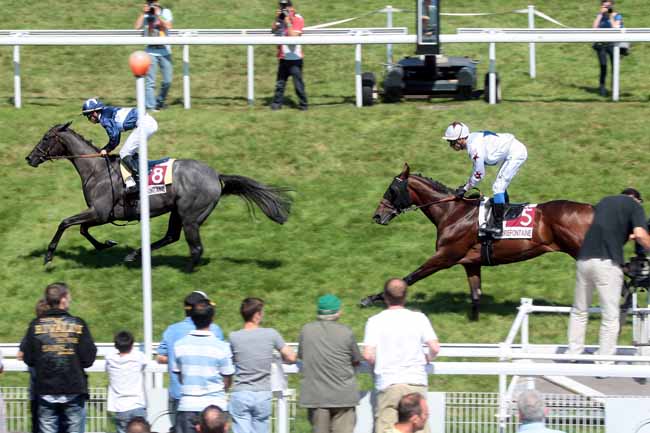 Arrivée quinté pmu PRIX DES CAMELIAS (PRIX AGAPA*****) à CLAIREFONTAINE