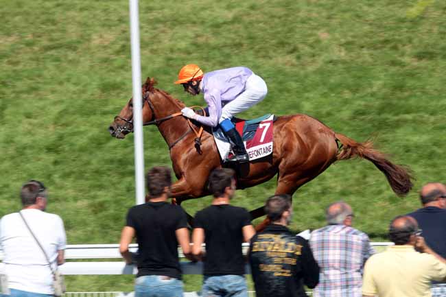 Arrivée quinté pmu PRIX DE BANVILLE - (PRIX DE LA SEIZIEME COURSE D'ANES DE TROUVILLE-SUR-MER-ELA) à CLAIREFONTAINE