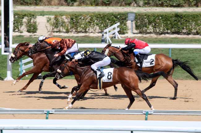 Arrivée quinté pmu PRIX DE BONNEBOSQ à DEAUVILLE