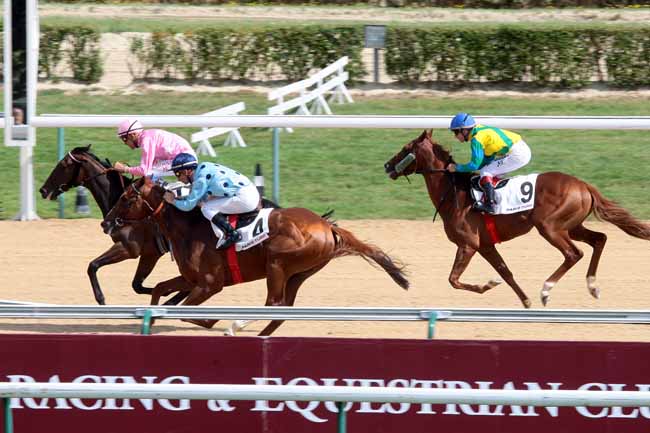 Arrivée quinté pmu PRIX DU MONT-CANISY (PRIX PARIS TURF) à DEAUVILLE