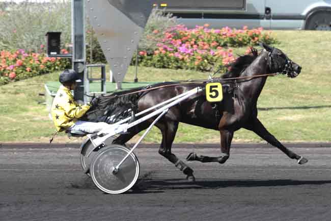Arrivée quinté pmu PRIX DE L'ALLIER à PARIS-VINCENNES