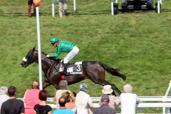 Arrivée quinté pmu PRIX AUBEPINES à CLAIREFONTAINE