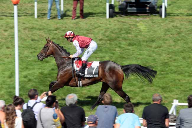 Arrivée quinté pmu PRIX DU COTEAU à CLAIREFONTAINE