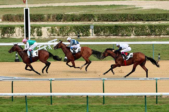 Arrivée quinté pmu PRIX D'ISIGNY à DEAUVILLE