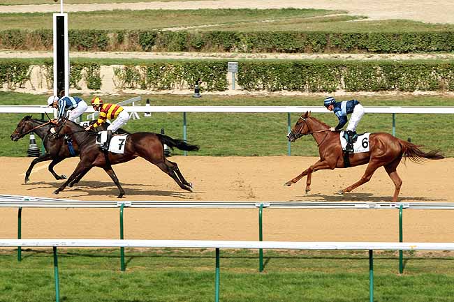 Arrivée quinté pmu PRIX DE LA MELLETIERE à DEAUVILLE