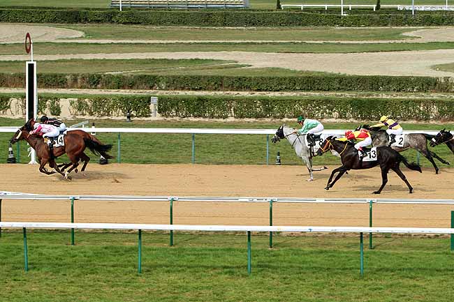 Arrivée quinté pmu PRIX DU MESNIL-OGER à DEAUVILLE