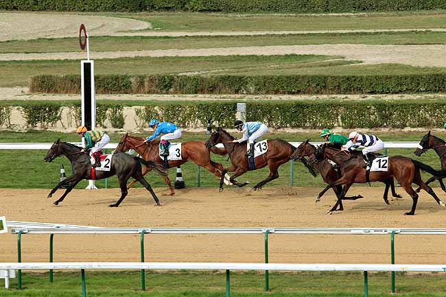 Arrivée quinté pmu PRIX DE PERSEIGNE à DEAUVILLE