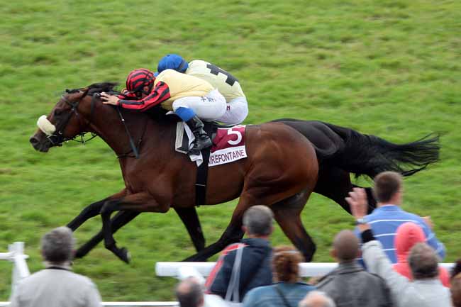 Arrivée quinté pmu PRIX DE LA CROIX BRISEE à CLAIREFONTAINE
