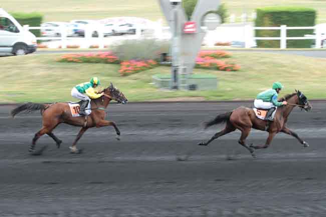 Arrivée quinté pmu PRIX DE TOULON à PARIS-VINCENNES