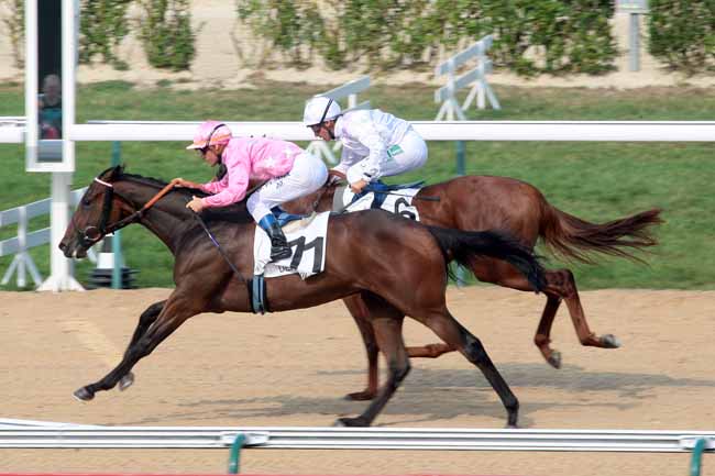 Arrivée quinté pmu PRIX DE VALMONT à DEAUVILLE
