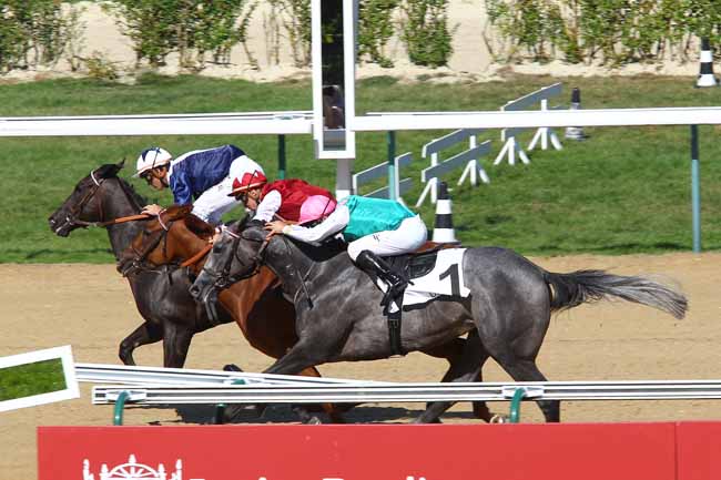 Arrivée quinté pmu PRIX DE L'ARRIERE PAYS à DEAUVILLE