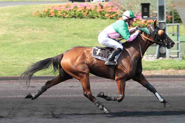 Arrivée quinté pmu PRIX DE DINARD à PARIS-VINCENNES