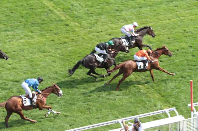 Arrivée quinté pmu PRIX MORTEMART à AUTEUIL