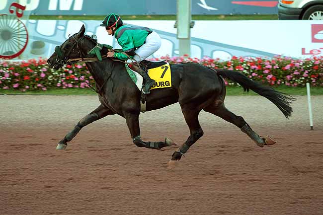 Arrivée quinté pmu PRIX DES NEMESIAS à CABOURG