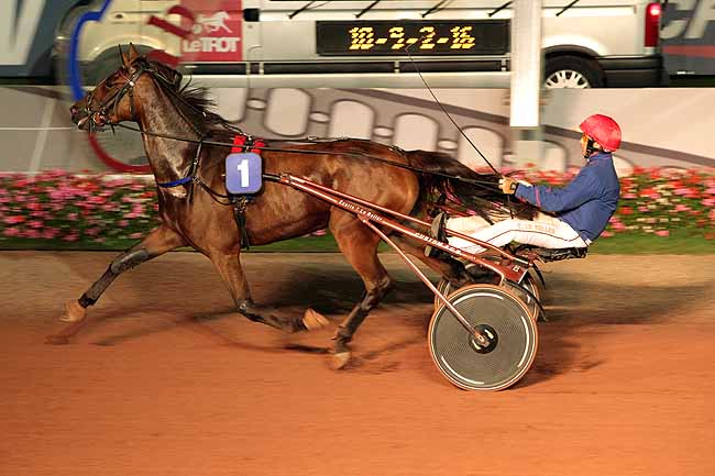 Arrivée quinté pmu PRIX DES SUNPATIENS à CABOURG