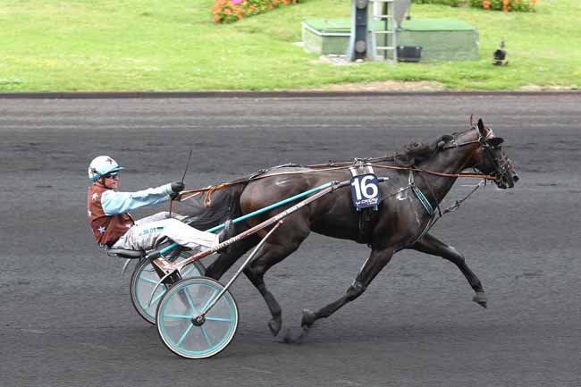 Arrivée quinté pmu CRITERIUM DES 5 ANS à PARIS-VINCENNES