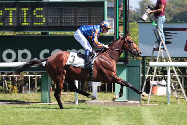 Arrivée quinté pmu PRIX BEND'OR à SAINT-CLOUD