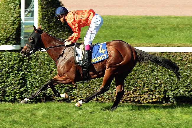 Arrivée quinté pmu PRIX DU CONSEIL GENERAL DE MEURTHE-ET-MOSELLE à NANCY