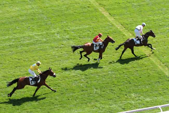 Arrivée quinté pmu PRIX DE GIEN à AUTEUIL