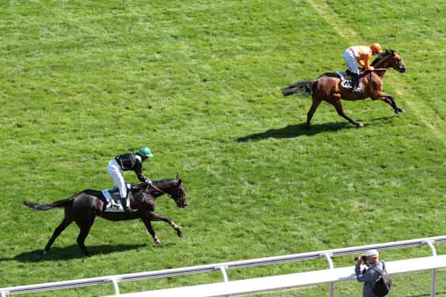 Arrivée quinté pmu PRIX ACHILLE-FOULD à AUTEUIL