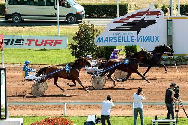 Arrivée quinté pmu PRIX ALBERT VIEL à PONT DE VIVAUX