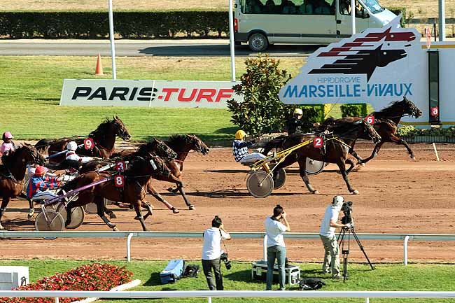 Arrivée quinté pmu PRIX DE GROSBOIS à PONT DE VIVAUX