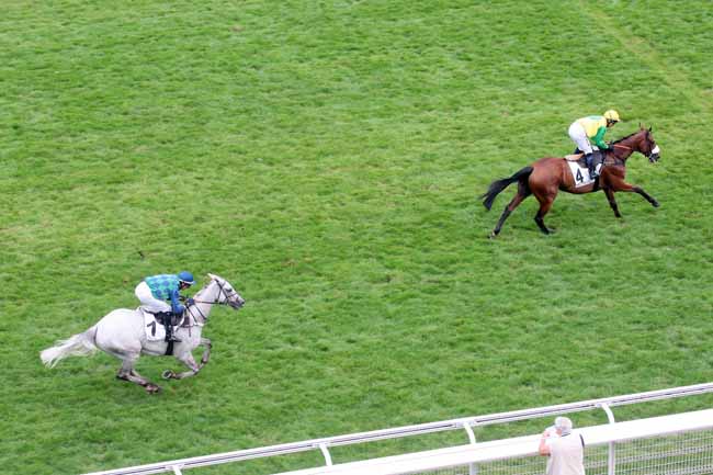 Arrivée quinté pmu PRIX WORLD CITIZEN à AUTEUIL