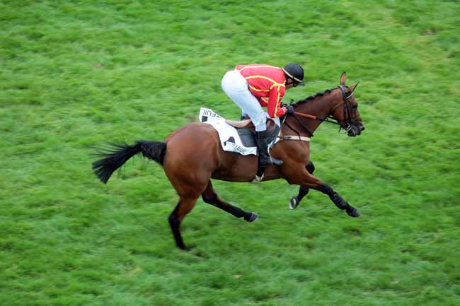 Arrivée quinté pmu PRIX PIERRE CYPRES à AUTEUIL