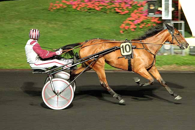 Arrivée quinté pmu PRIX AMBROSIA à PARIS-VINCENNES