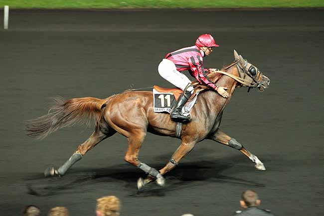 Arrivée quinté pmu PRIX BRUNHILD à PARIS-VINCENNES