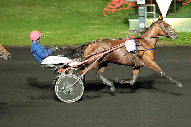 Arrivée quinté pmu PRIX CURSA à PARIS-VINCENNES
