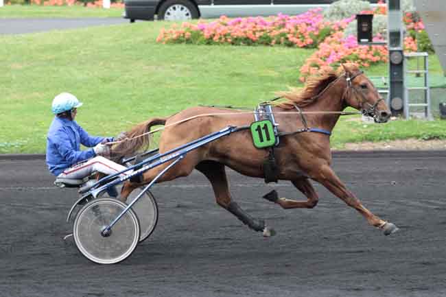 Arrivée quinté pmu PRIX DE NUEIL-SUR-LAYON à PARIS-VINCENNES