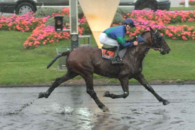Arrivée quinté pmu PRIX ANDRE ROUER à PARIS-VINCENNES