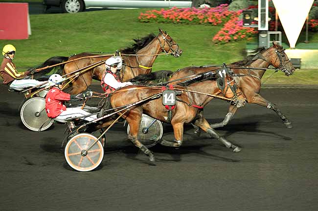 Arrivée quinté pmu PRIX AEGLE à PARIS-VINCENNES