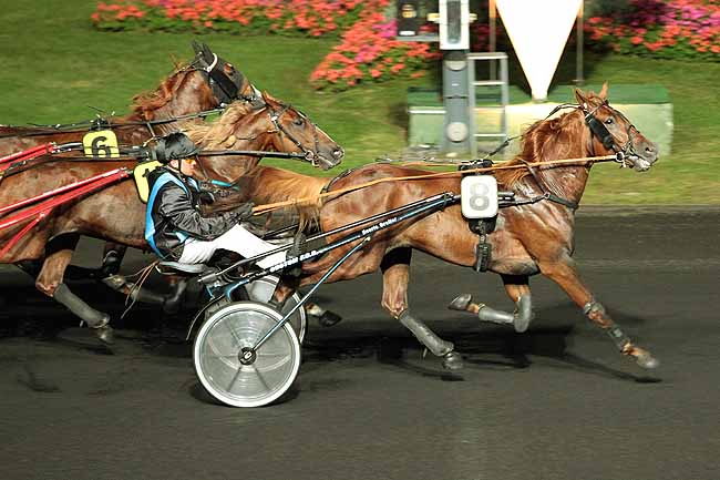 Arrivée quinté pmu PRIX ERATO à PARIS-VINCENNES