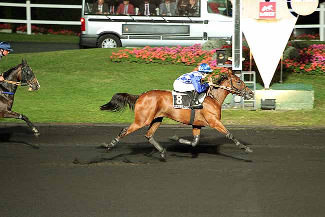 Arrivée quinté pmu PRIX MUSCA à PARIS-VINCENNES