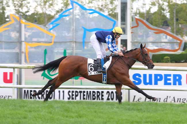 Arrivée quinté pmu PRIX DU MONDIAL DU LION à LE LION D'ANGERS
