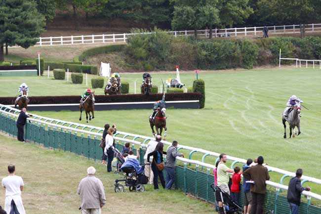 Arrivée quinté pmu PRIX OLIVIER D'ANDIGNE à LE LION D'ANGERS