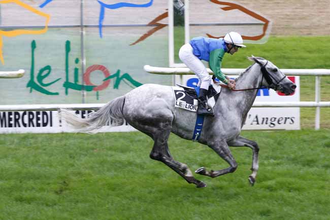Arrivée quinté pmu PRIX DE LA FEE DU MAS à LE LION D'ANGERS