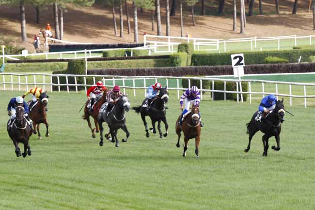 Arrivée quinté pmu PRIX DE CHAMBELLAY à LE LION D'ANGERS