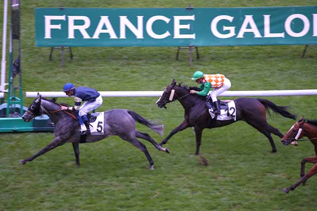 Arrivée quinté pmu PRIX DE CHARENTON à LONGCHAMP