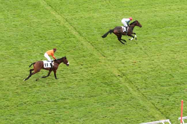 Arrivée quinté pmu PRIX FINOT (PELOTON B) à AUTEUIL