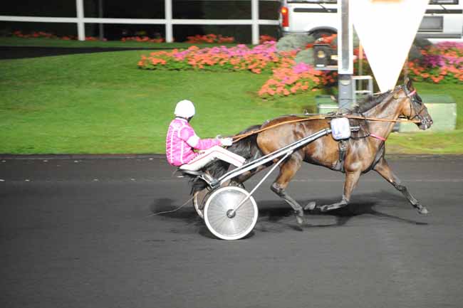 Arrivée quinté pmu PRIX OPHELIA à PARIS-VINCENNES