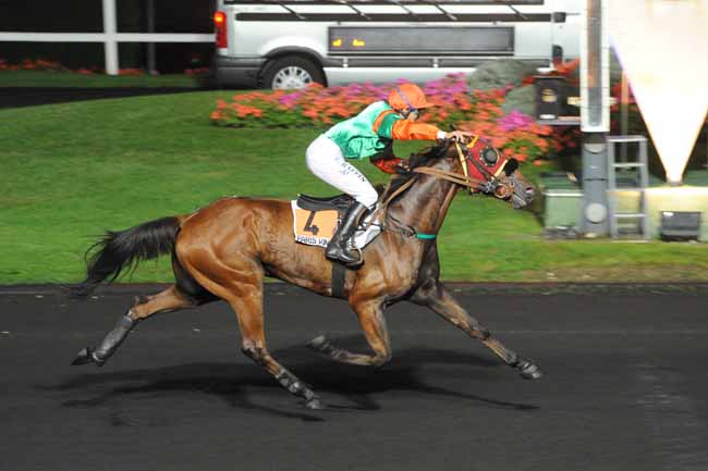 Arrivée quinté pmu PRIX ENIS à PARIS-VINCENNES