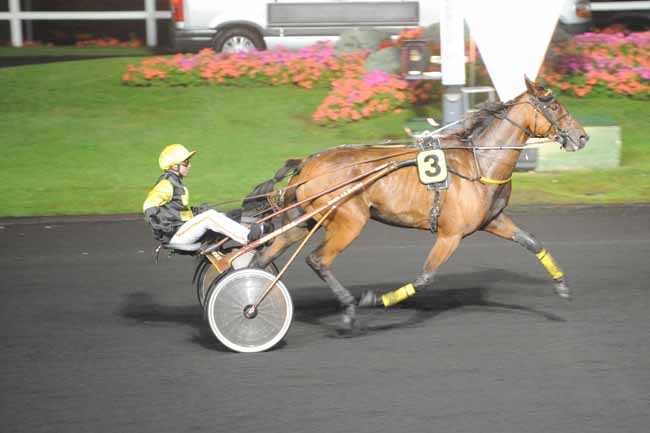 Arrivée quinté pmu PRIX ALHENA à PARIS-VINCENNES
