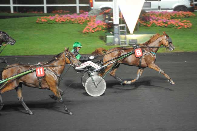 Arrivée quinté pmu PRIX ERIDANUS à PARIS-VINCENNES